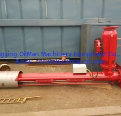 Système électronique d'allumage de flamme de 590 kg DN200mm avec torche de brûleur en acier inoxydable
