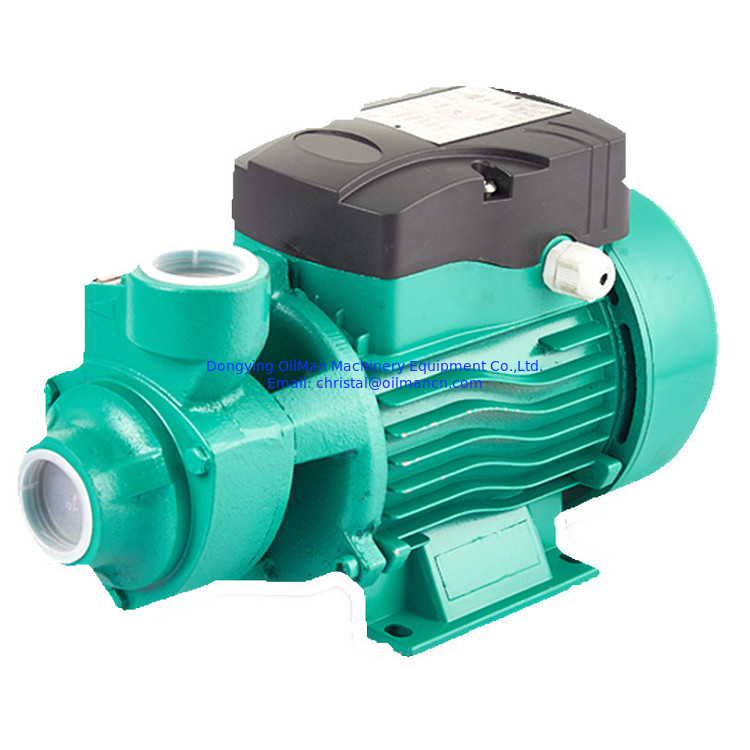 Meilleur prix 1 pouce 220 Volt Qb60 0,5 HP 0,75hp 1hp moteur électrique de jardin domestique pompe à eau vortex